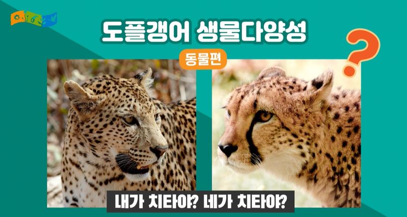 도플갱어 생물다양성_동물편