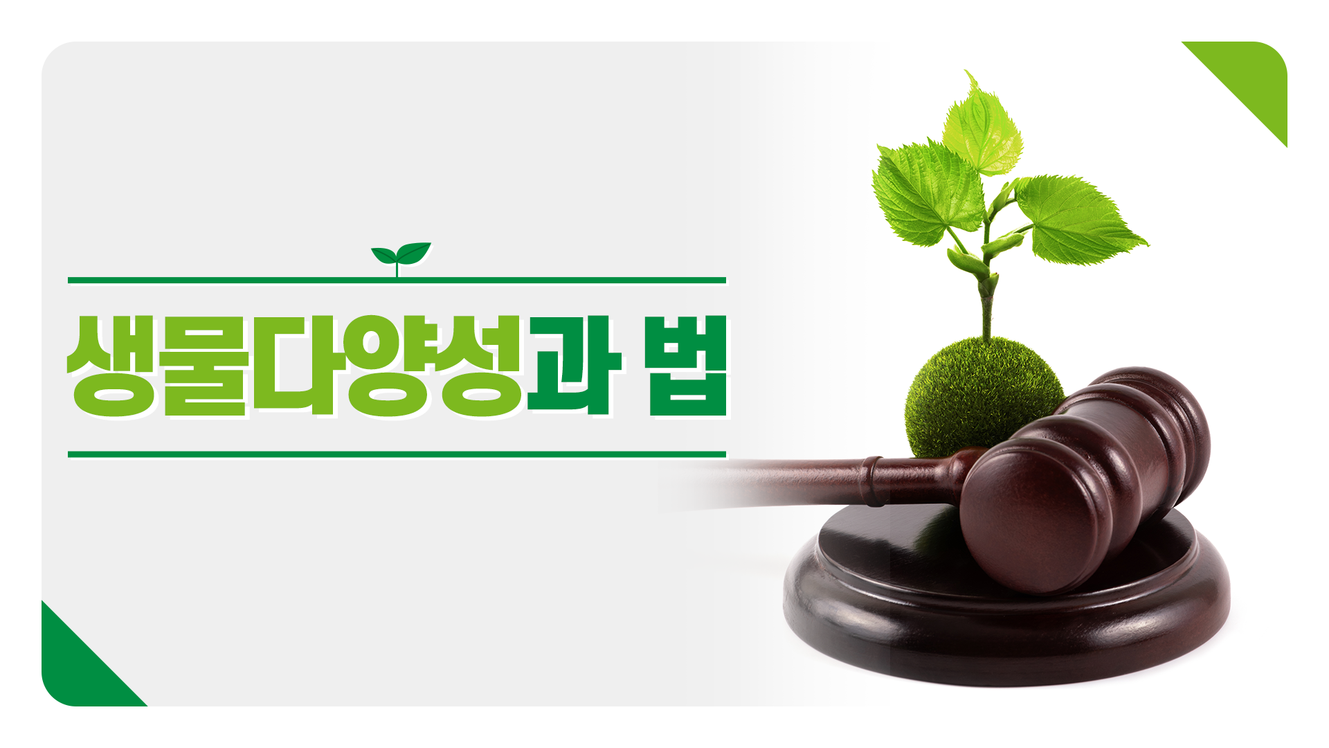 생물다양성과 법